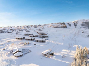 Leilighet i bakken på Bualie, Golsfjellet